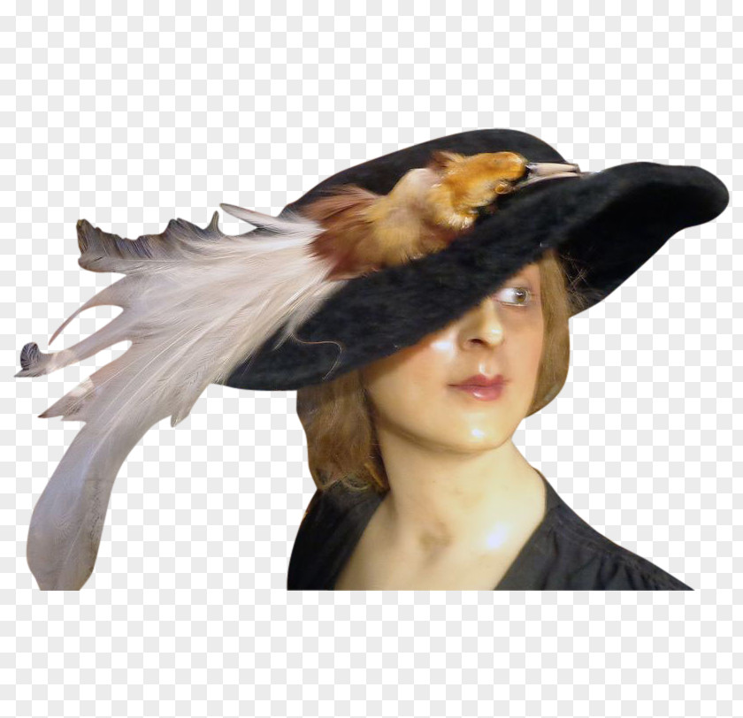 Bird Cowboy Hat Beaver Edwardian Era PNG