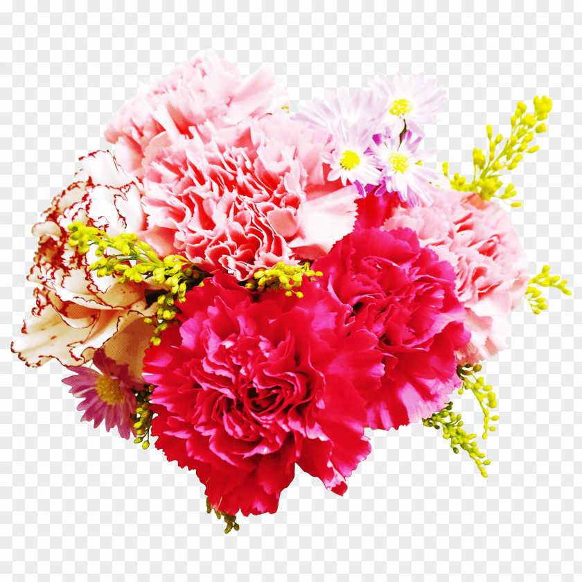 Floral Design PNG