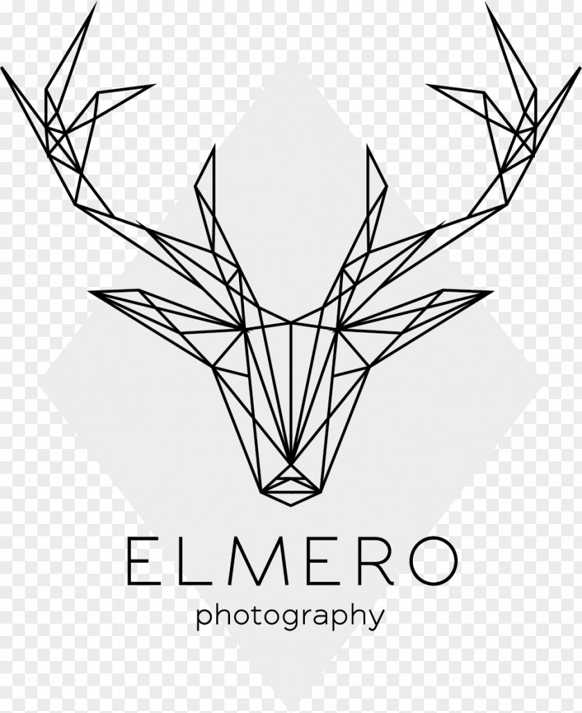 Photography Wedding Portrait PhotographyPhotographer Photographer ELMERO PNG