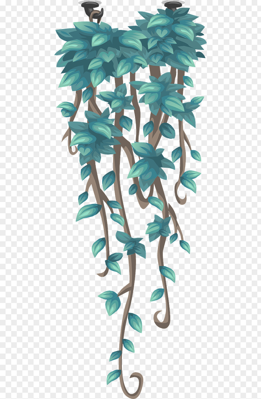 Plant Vine PNG