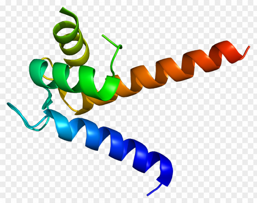 S100P S100 Protein RAGE Gene PNG