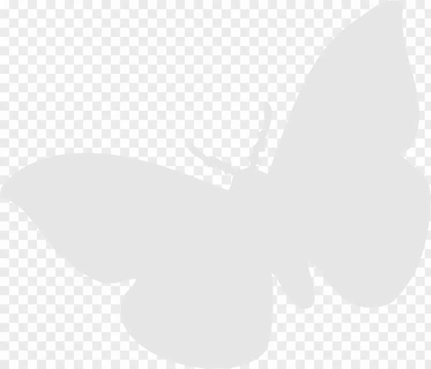 Watercolor Butterflys Moth White Angle Font PNG