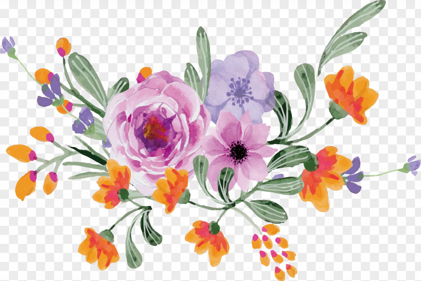 Watercolor Plants Painting Photography PNG