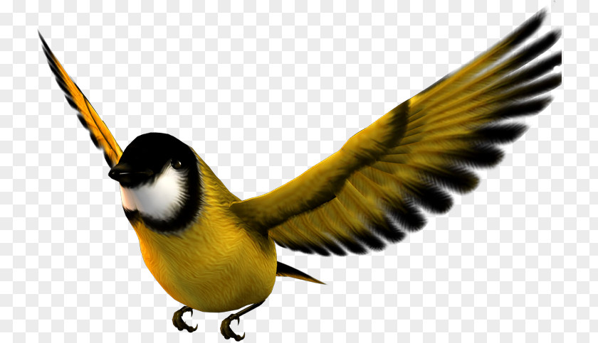 Bird Atlantic Canary Flight Desktop Metaphor PNG