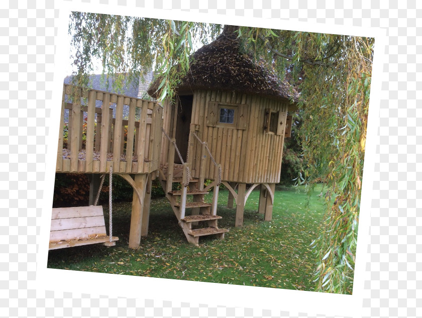 Building Tree House Shed PNG