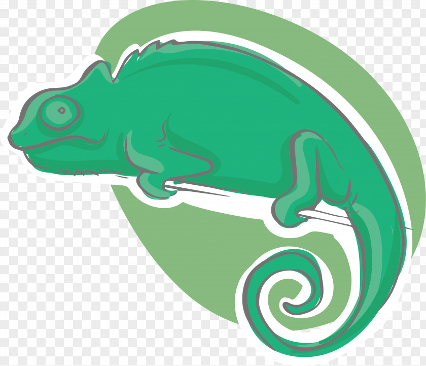 Cartoon Chameleon Design Chameleons Reptile Icon PNG