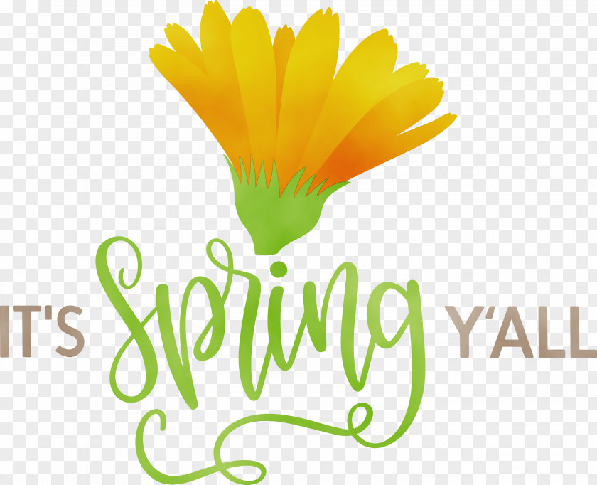 Daisy Family Flower Logo Petal Yellow PNG