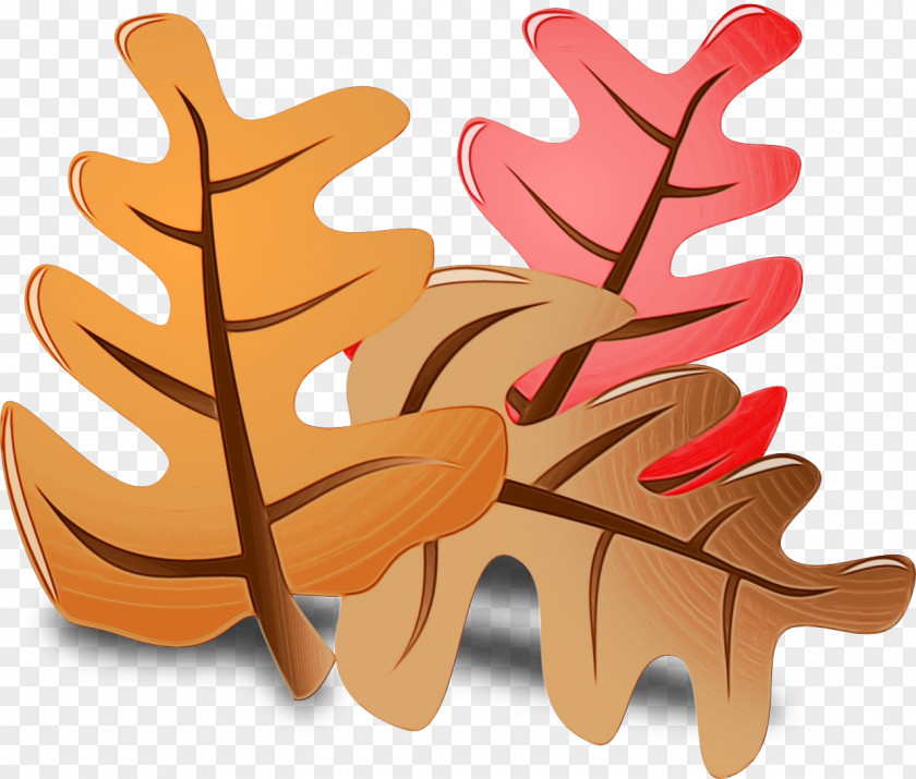 Finger Plant Leaf Tree PNG