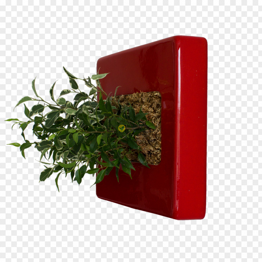 Flower Box Herb Flowerpot Rectangle PNG