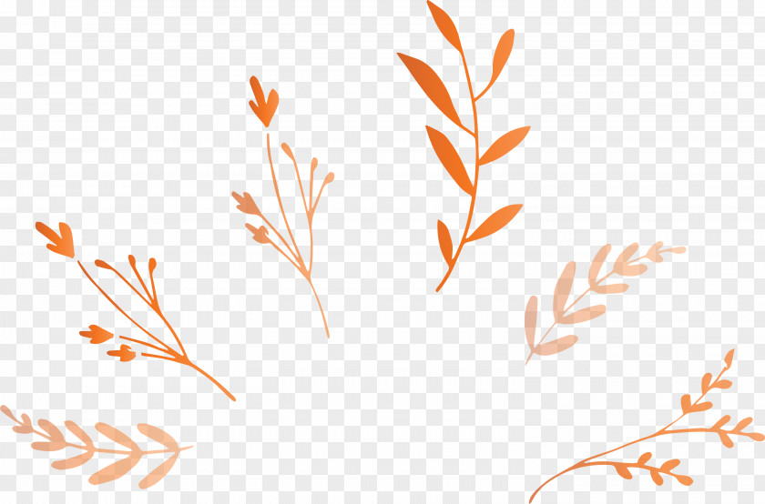 Leaf Branch PNG