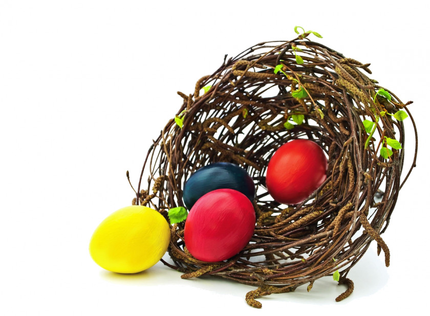 Nest Edible Bird's Egg PNG