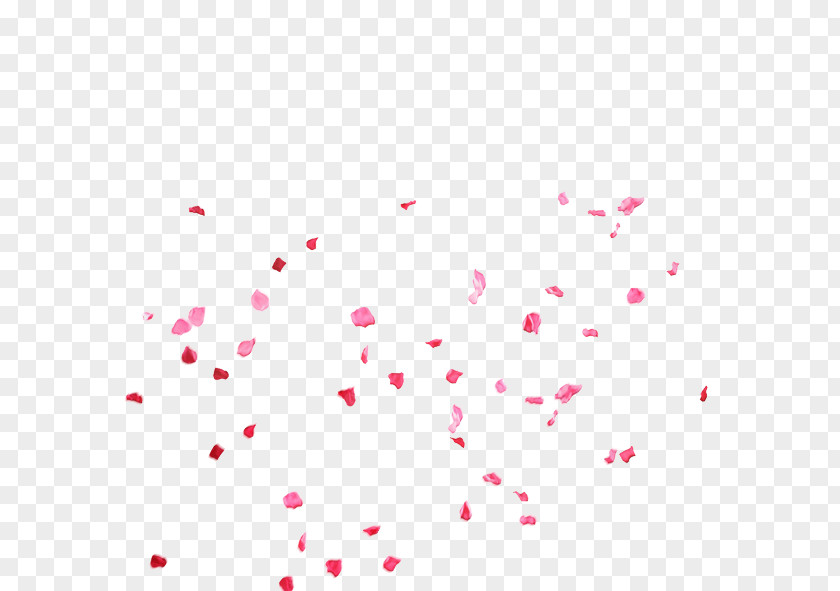 Rose Petal Pink Flower PNG