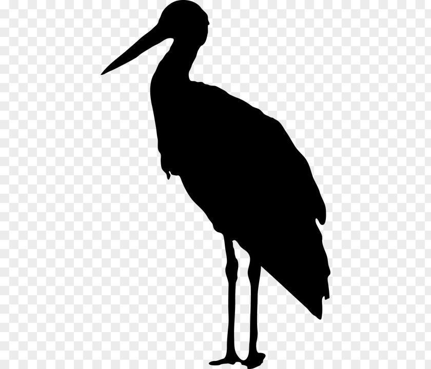 Vogelschwarz Bird Silhouette Clip Art PNG