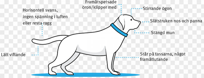 Body Posture Dog Breed Puppy Ear Cat PNG