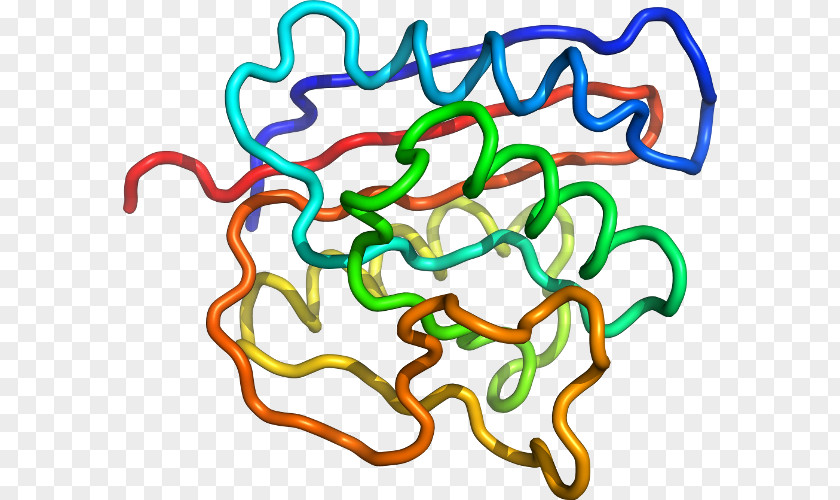 Line Organism Clip Art PNG