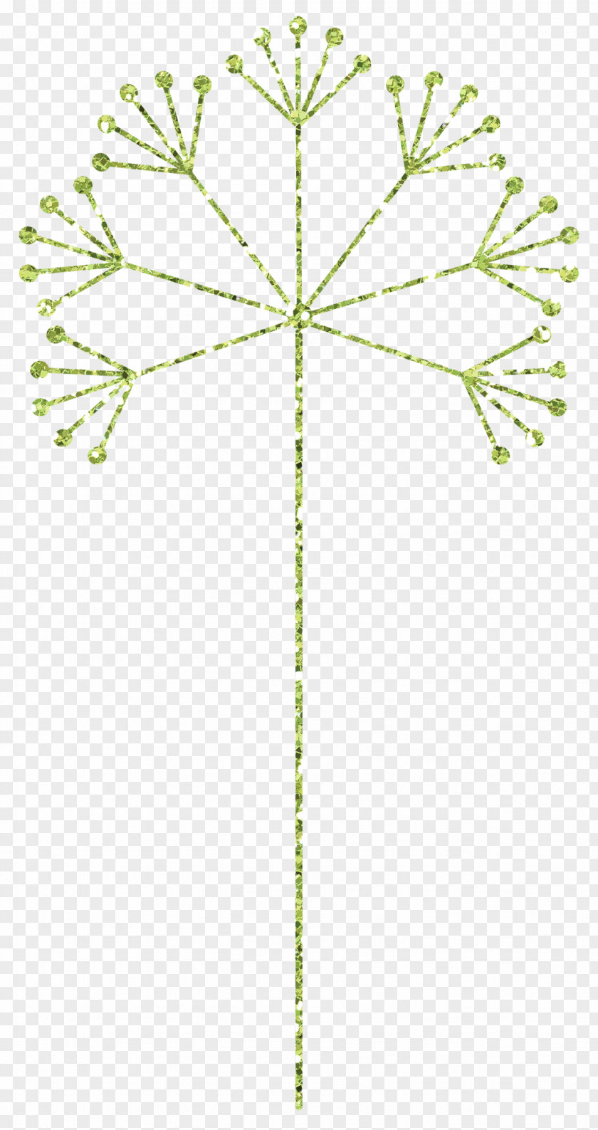 Green Dandelion Common PNG