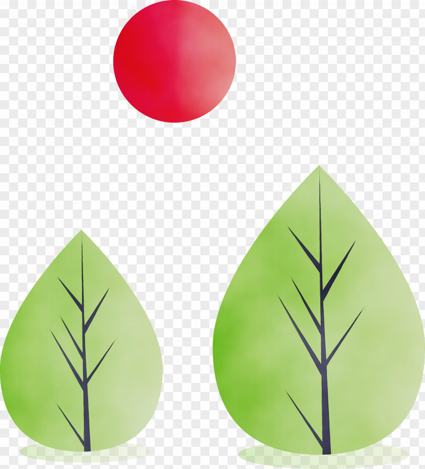 Green Leaf Plant PNG