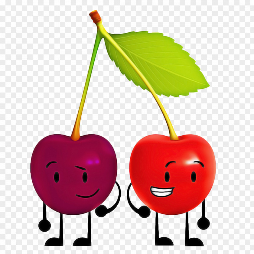 Heart Plant Stem Cherry Tree PNG