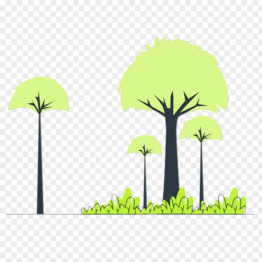 Leaf Plant Stem Tree Green Font PNG