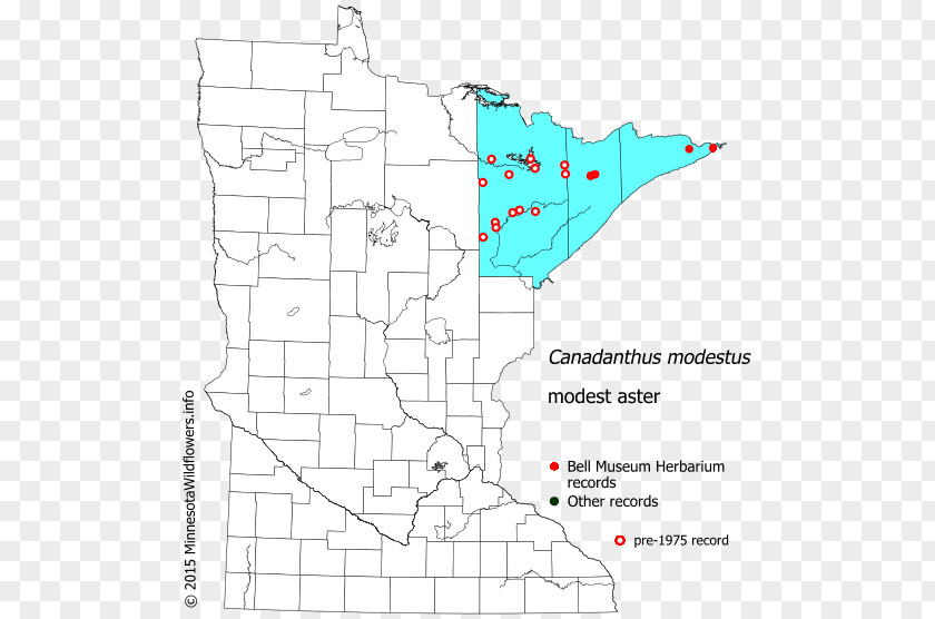 Line Map Land Lot Point Angle PNG