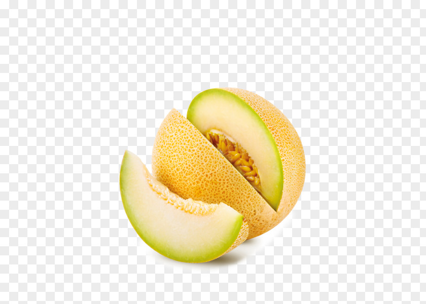 Melon Honeydew Cantaloupe Galia Watermelon PNG