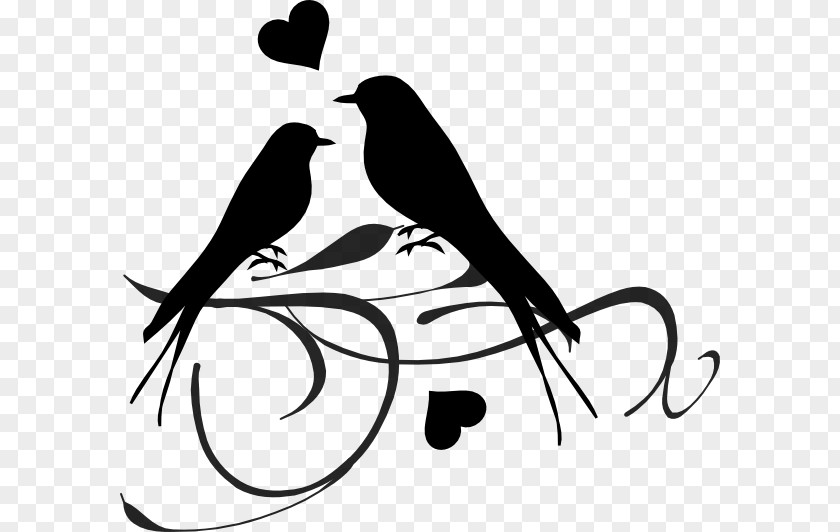 Newlyweds Illustration Lovebird Wedding Clip Art PNG