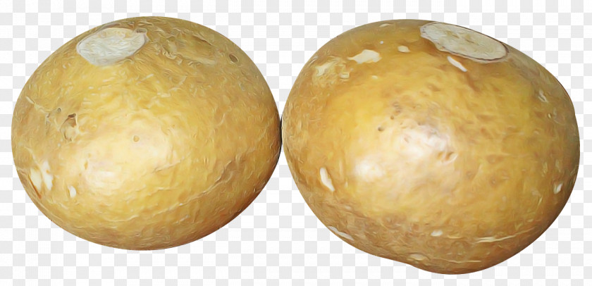 Plant Fruit PNG