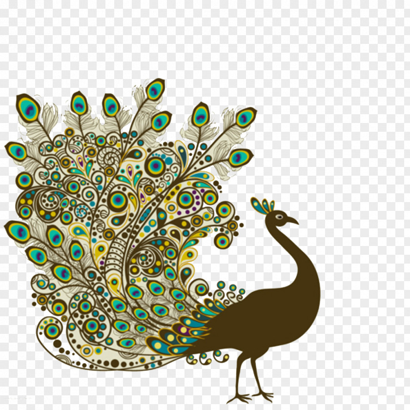 Pretty Peacock Bird Peafowl Feather Drawing PNG