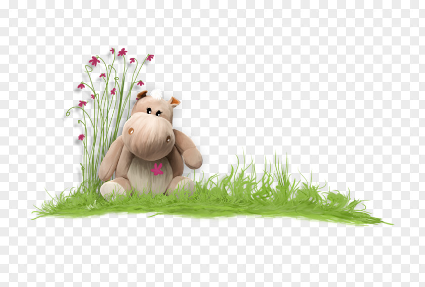 Toy Bear On The Grass Information PNG