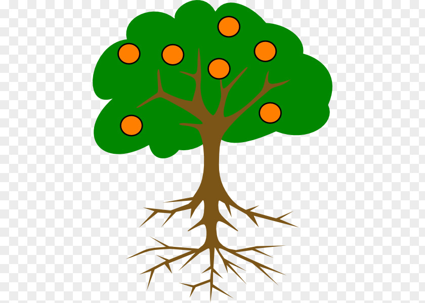 Cartoon Orange Tree Branch Root Clip Art PNG