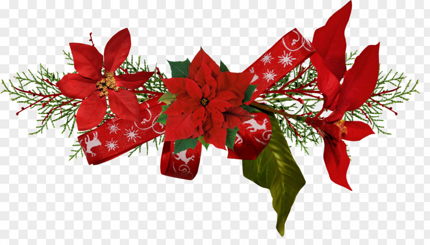Decorations Christmas Flower Poinsettia Clip Art PNG
