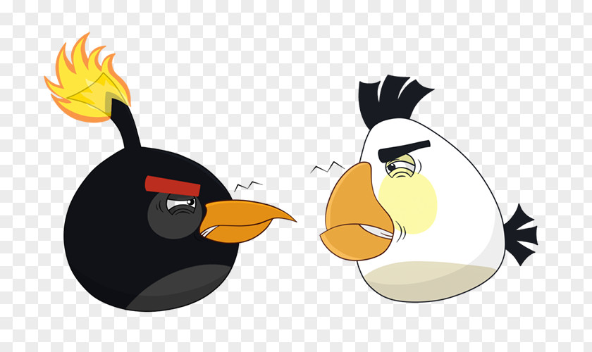 Explosive Birds Quarreled Angry Stella Cartoon Wallpaper PNG
