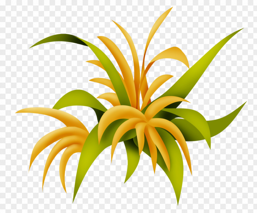 Houseplant Lily Family Flower Cartoon PNG