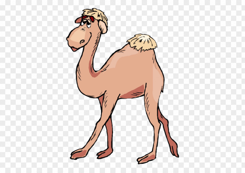 Vector Camel Bactrian Dromedary Train Clip Art PNG