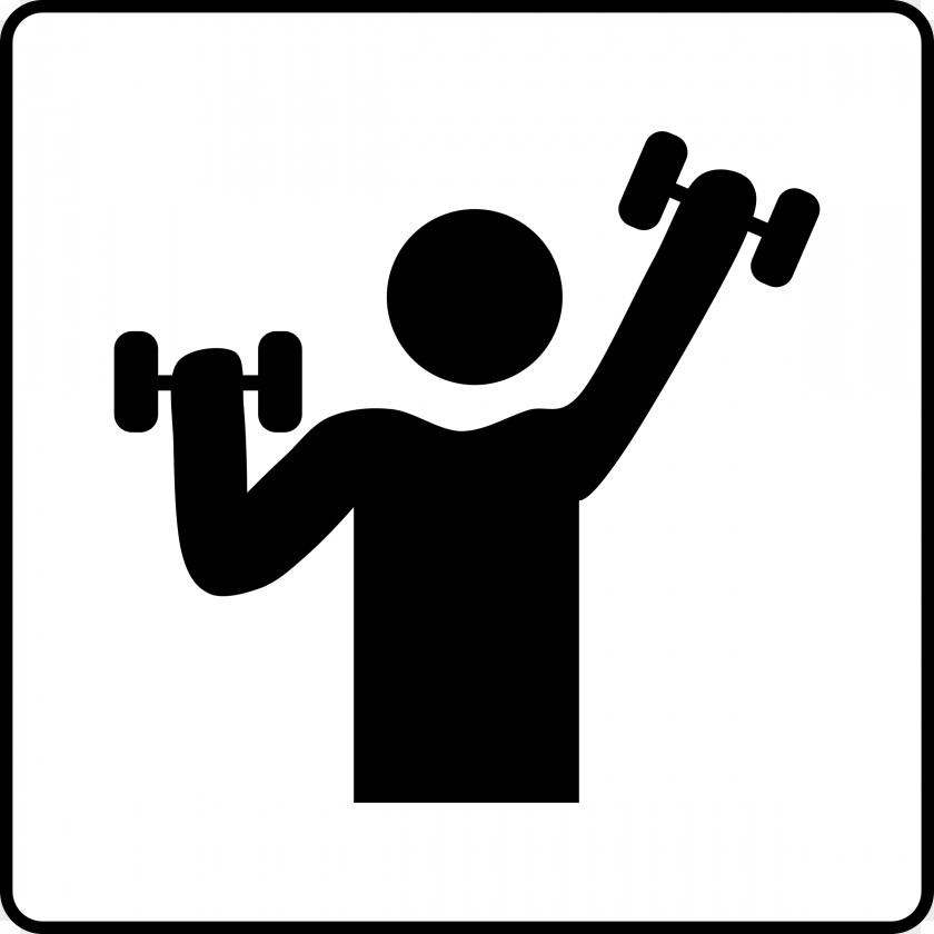 Dumbbell Fitness Centre Physical Weight Training PNG