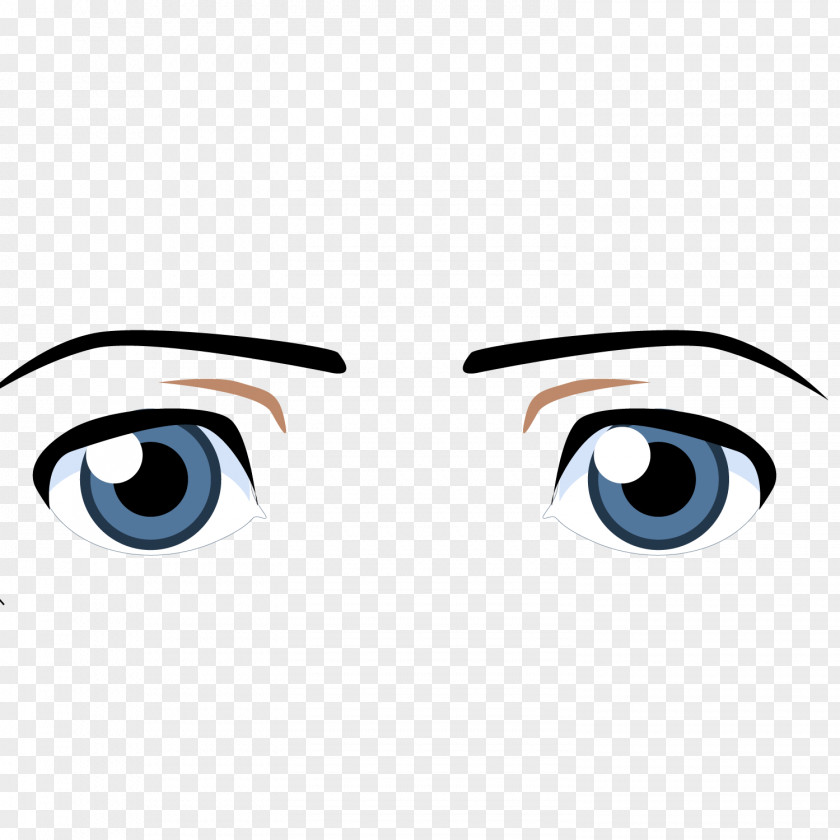 Eyebrow Pen Trace Vector Material Donkey Eye Cartoon PNG