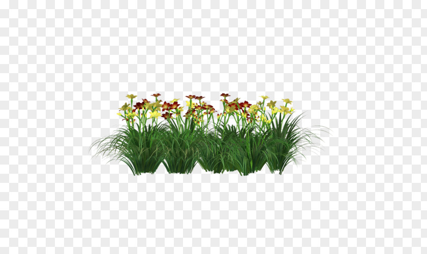 Flower Grasses Flowerpot Plant Stem Shrub PNG