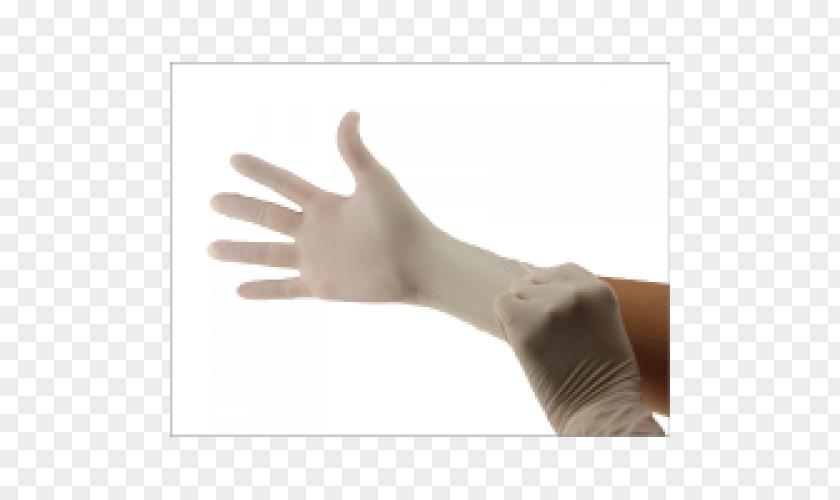 Latex Gloves Thumb Glove Hand Model PNG