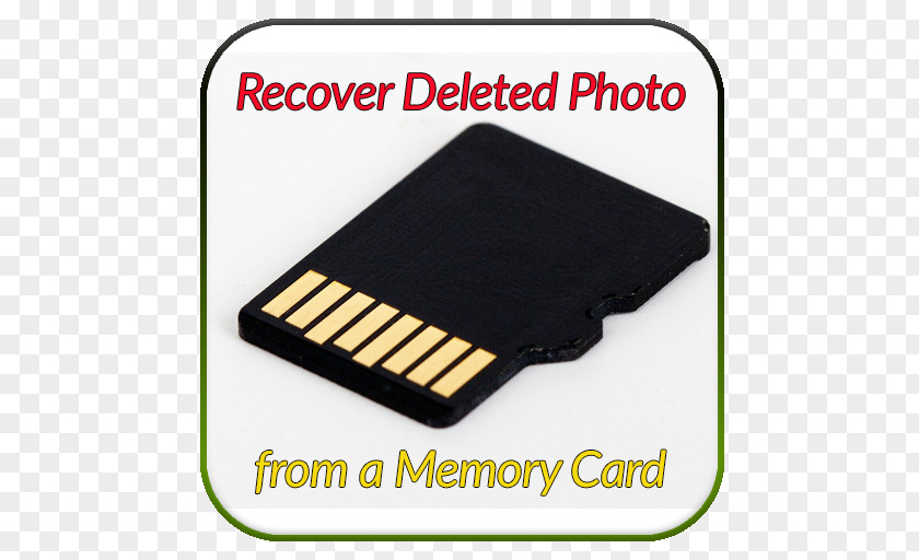 Memory Card Flash Cards Computer Data Storage Secure Digital MicroSD PNG