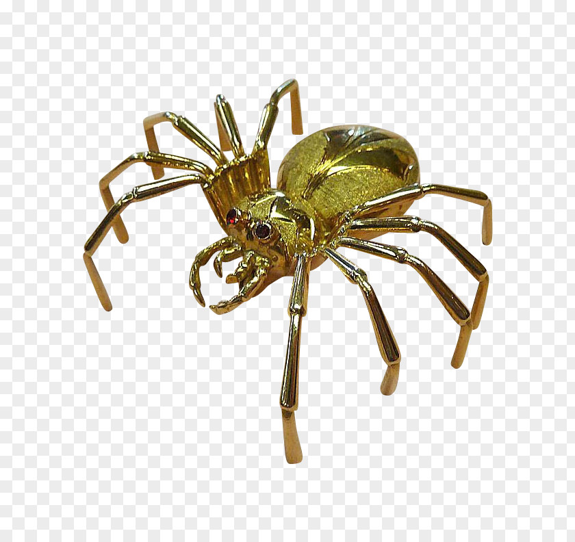 Spider Image Brooch Tie Pin Angulate Orbweavers Gold PNG