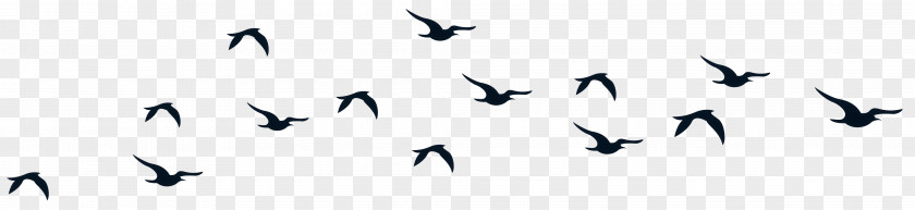 Bird Clip Art PNG