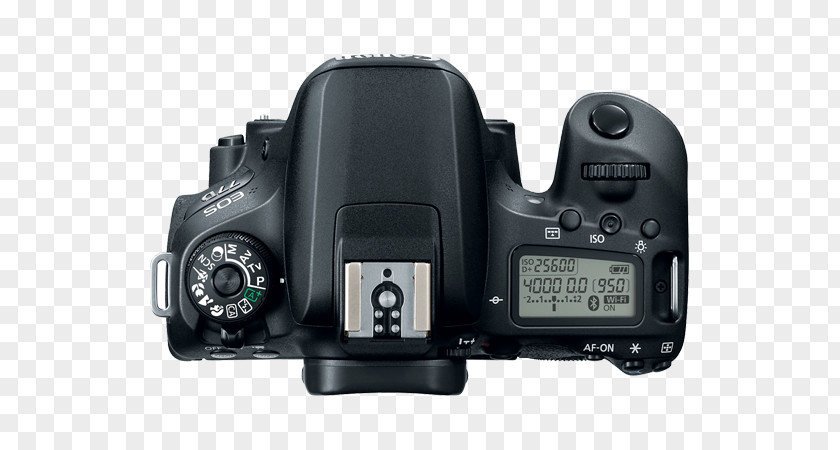 Camera Lens Canon EOS 77D EF-S 18–135mm 800D EF Mount Digital SLR PNG