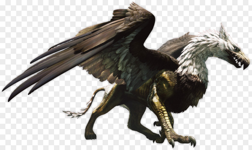 Chimera Dragon's Dogma: Dark Arisen Griffin Legendary Creature PNG