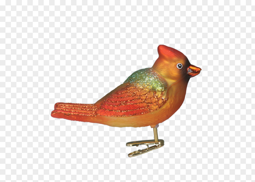 Christmas Bird Beak Winter Ornament PNG