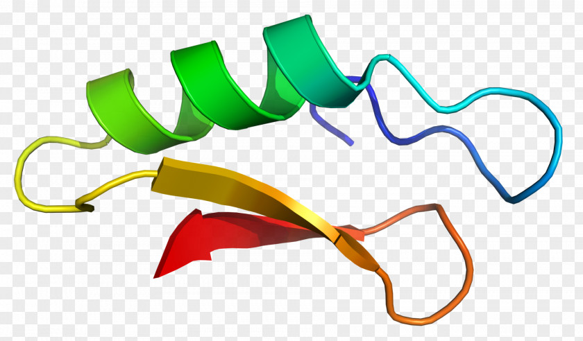 Defensin Plectasin Pseudoplectania Nigrella Antimicrobial Peptides Fungus PNG