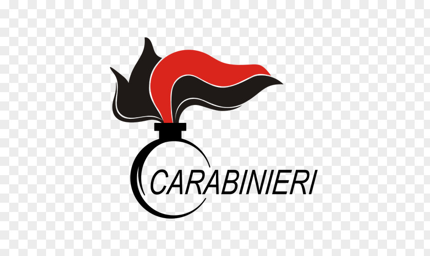 Dell Logo Carabinieri Symbol Graphic Design PNG