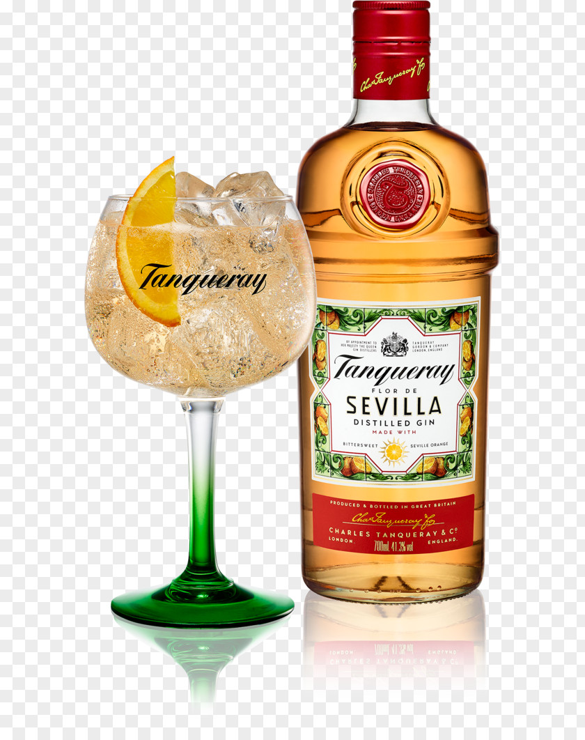 Javis Tanqueray Gin Tonic Water Distilled Beverage Bitter Orange PNG