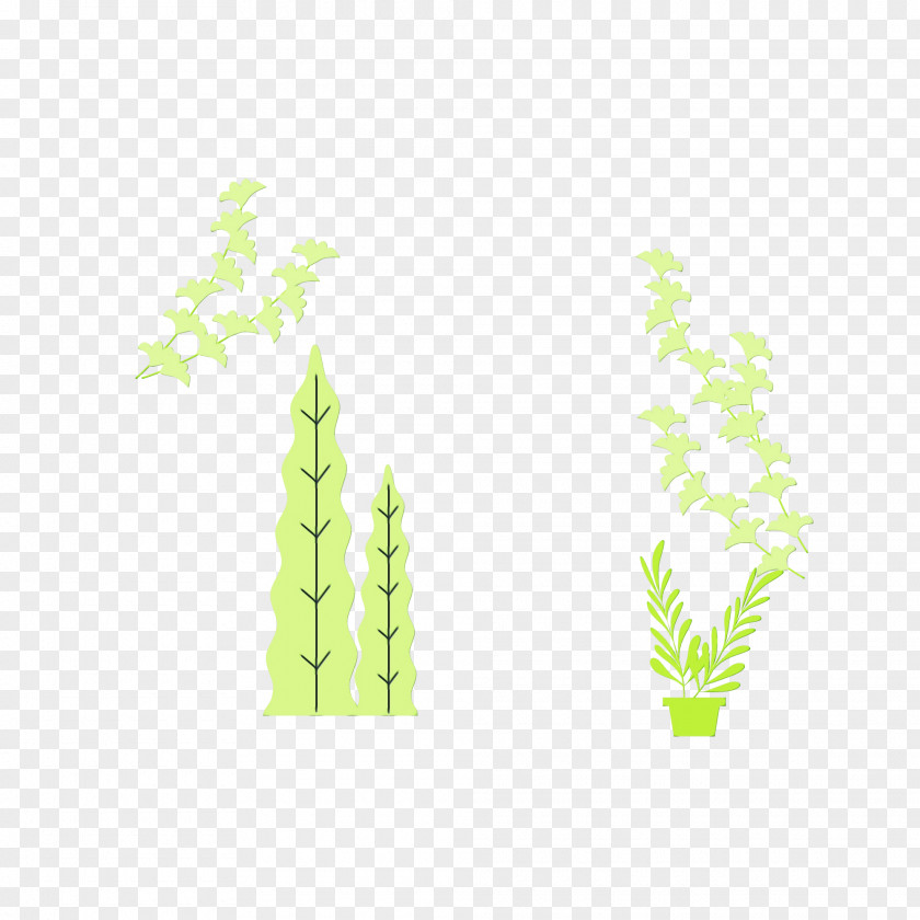 Leaf Plant Stem Tree Green Text PNG