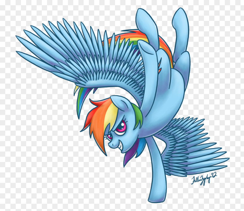 Sugarcubes Macaw Parrot Illustration Beak Clip Art PNG