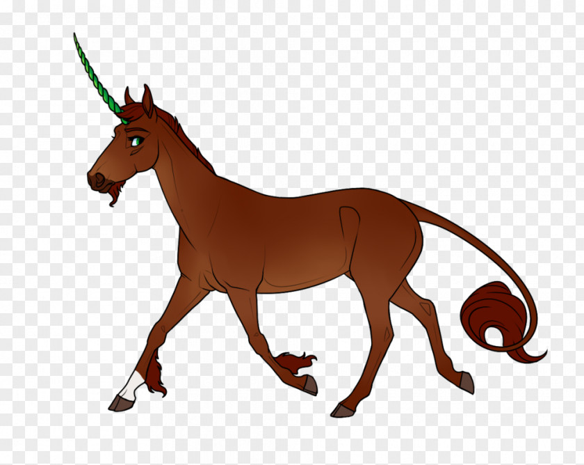 Unicorn Horn Horse Mule Pony Stallion PNG